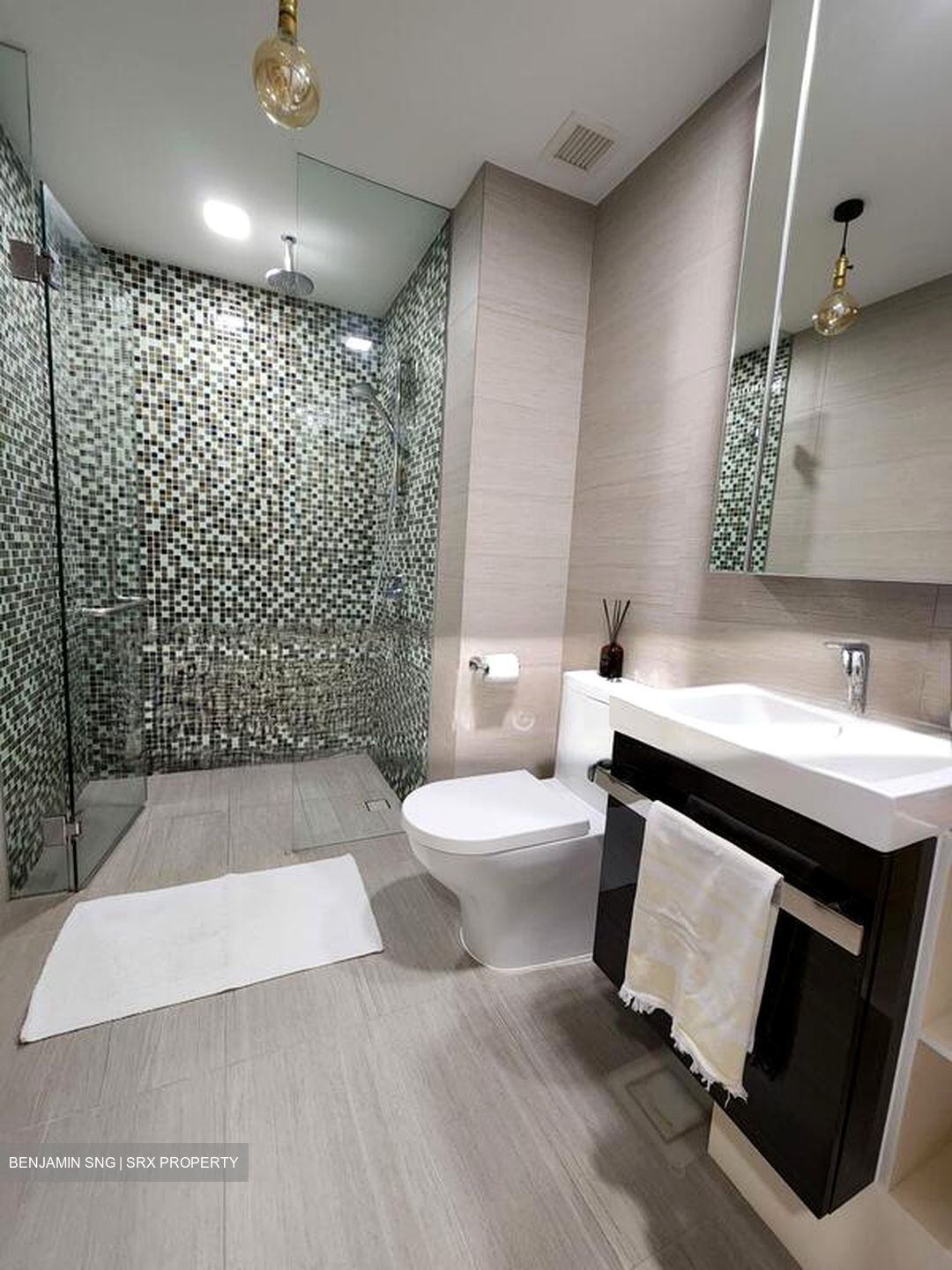 Sant Ritz (D13), Condominium #501883501